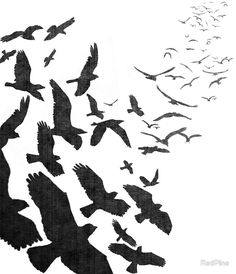 236x274 Japanese Flying Bird Sketch - Flock Of Birds Sketch