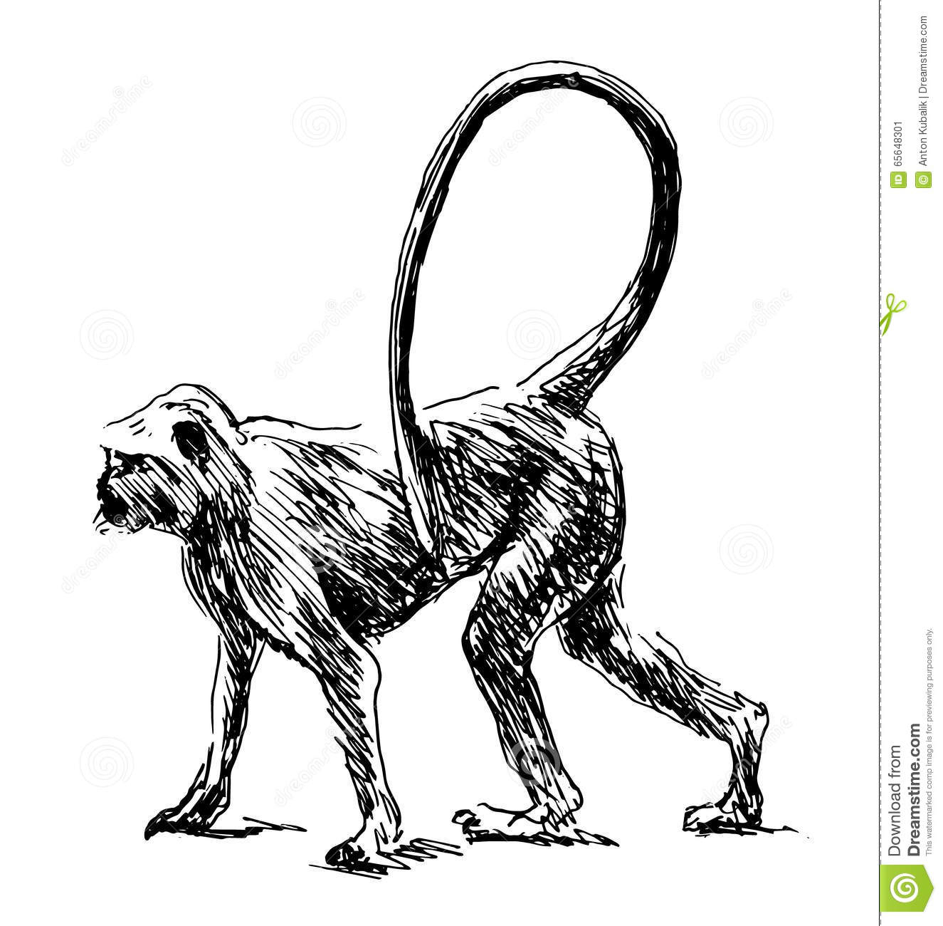 1325x1300 Monkey Sketch Images Hand Sketch Monkey Stock Vector. Illustration - Flora Sketch