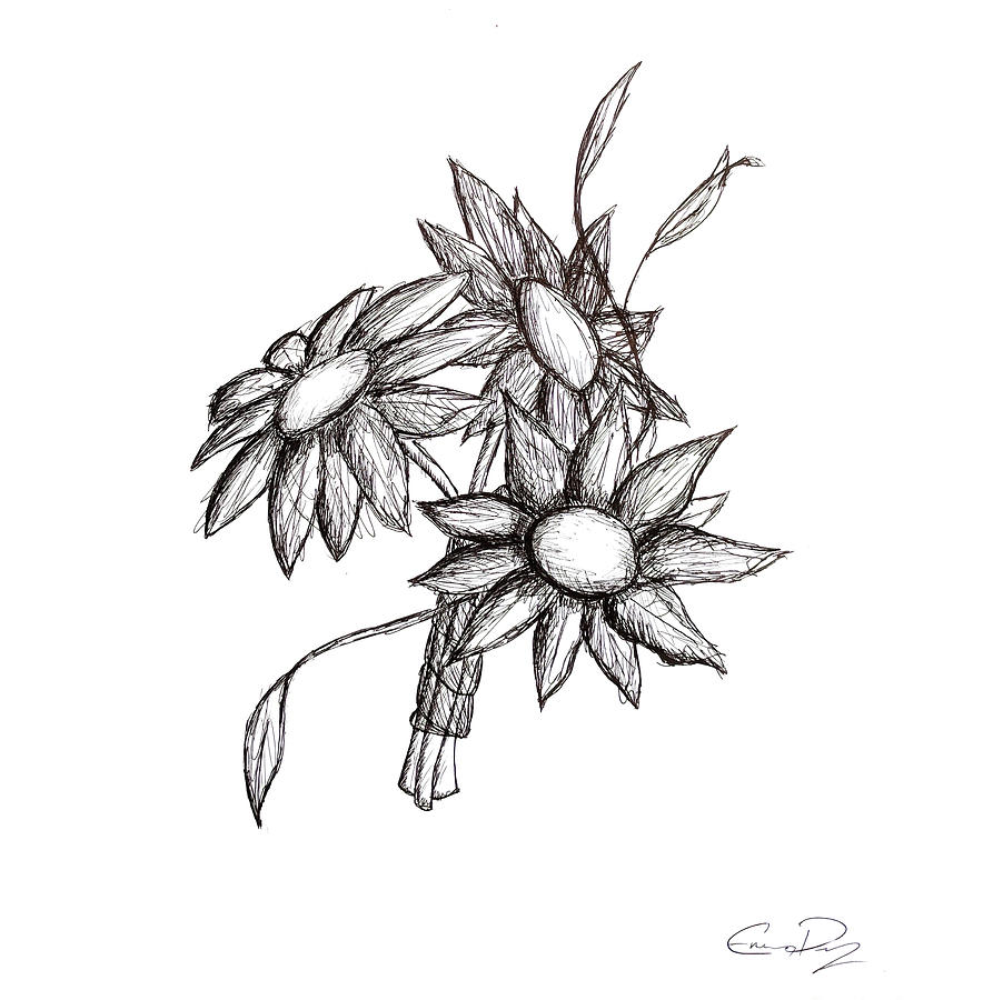 884x900 Tri Flora Drawing By Emily Perry - Flora Sketch