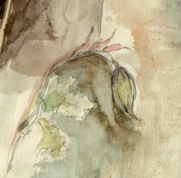 600x591 Wall Flora Wild Geranium The Shop Floor Project - Flora Sketch