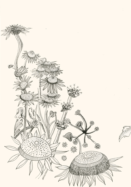 420x596 Sistahstudios - Flora Sketch