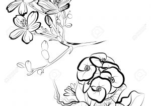 300x210 Art Sketch Flower Design Black White Line Drawing Rose Flower - Floral Design Sketch