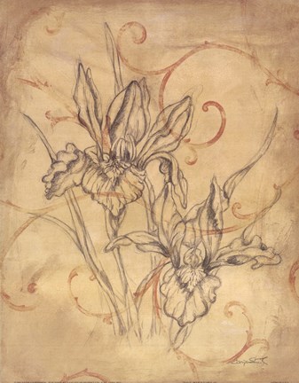 337x432 Pencil Sketch Floral Iii Fine Art Print By Justin Coopersmith - Floral Print Sketch
