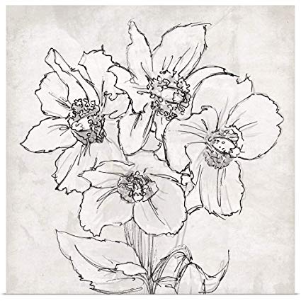 425x425 Greatbigcanvas Poster Print Entitled Floral Sketch - Floral Print Sketch