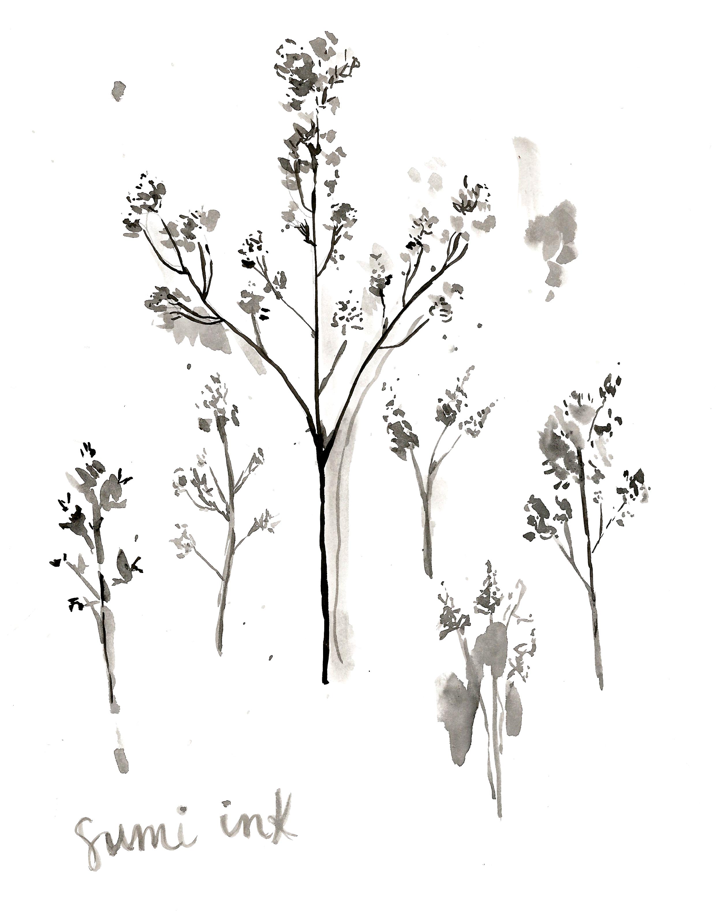 2480x3153 Floral Sketch Illustration Avenue - Floral Sketch