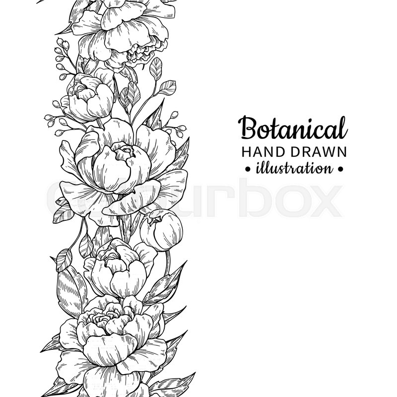 800x800 Floral Seamless Vintage Border. Vector Peony And Roses Botanical - Floral Sketch