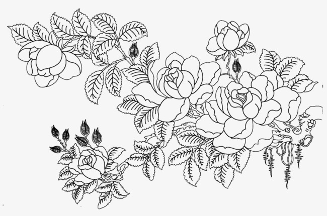 650x430 Flower Sketch, Flower Clipart, Flower, Sketch Png Image And - Floral Sketch