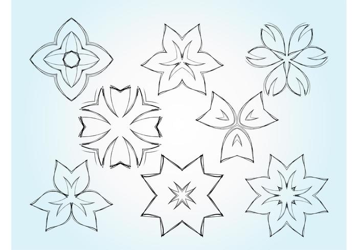 700x490 Flower Sketch Vectors - Floral Sketch