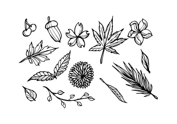 700x490 Free Floral Sketch Icon Vector - Floral Sketch