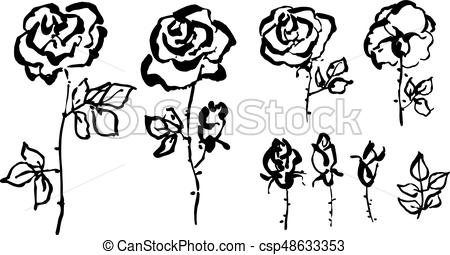 450x255 Hand Drawn Rose Floral Sketch In Modern Shabby Style. Painted - Floral Sketch