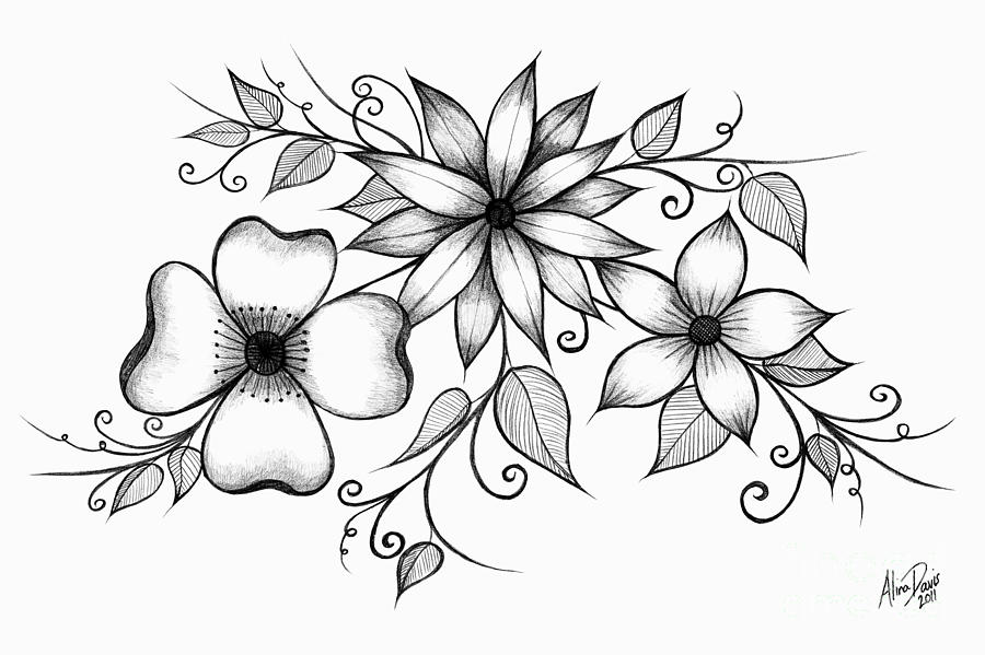 900x599 Tri Floral Sketch Drawing By Alina Davis - Floral Sketch