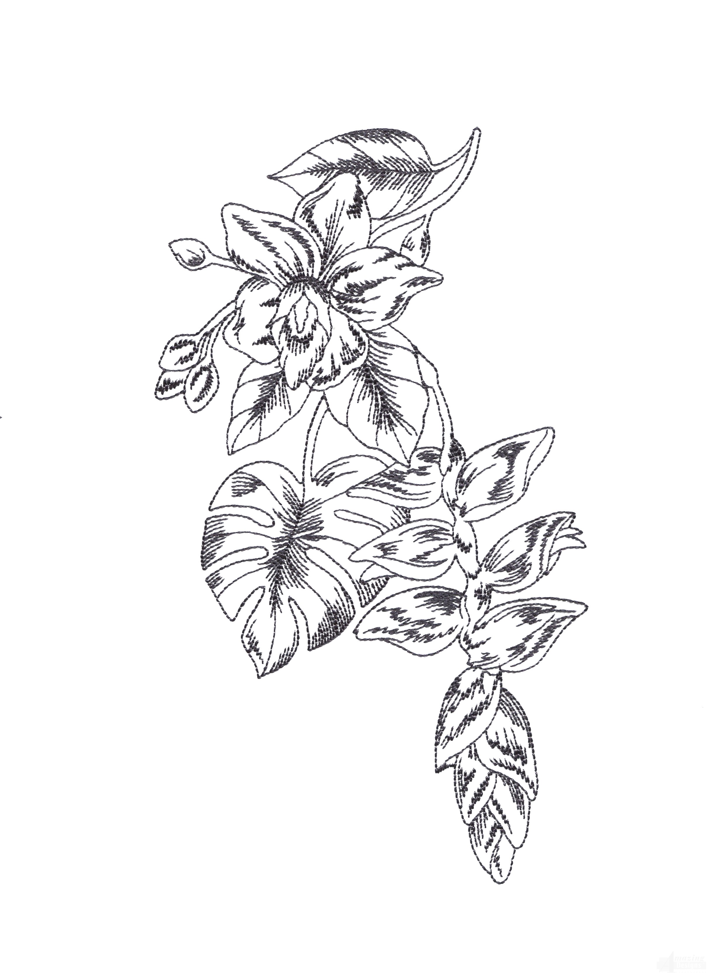 2425x3339 Bot425 Tropical Floral Sketch Embroidery Design Classic Single Design - Floral Sketch