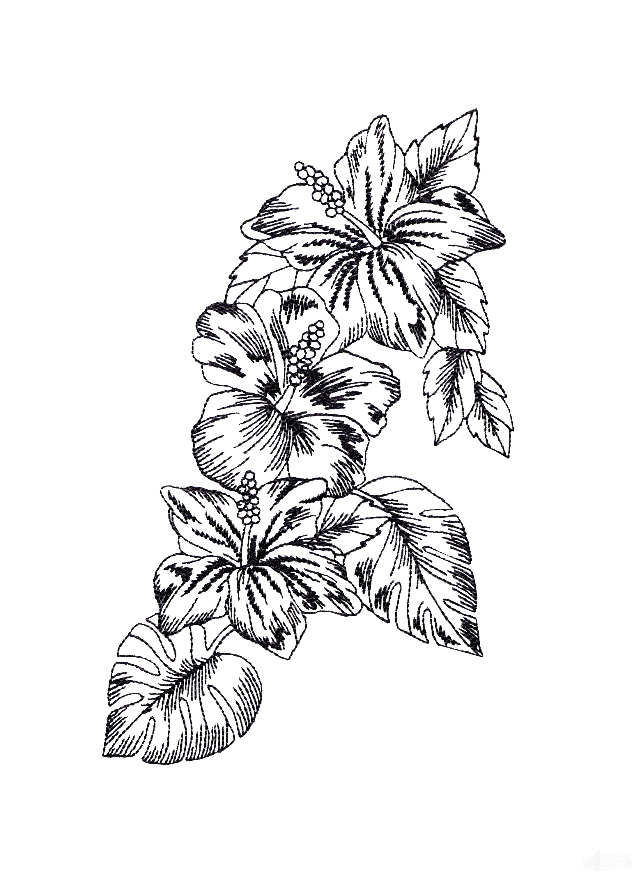 2178x3000 Bot425 Tropical Floral Sketch Embroidery Design - Floral Sketch