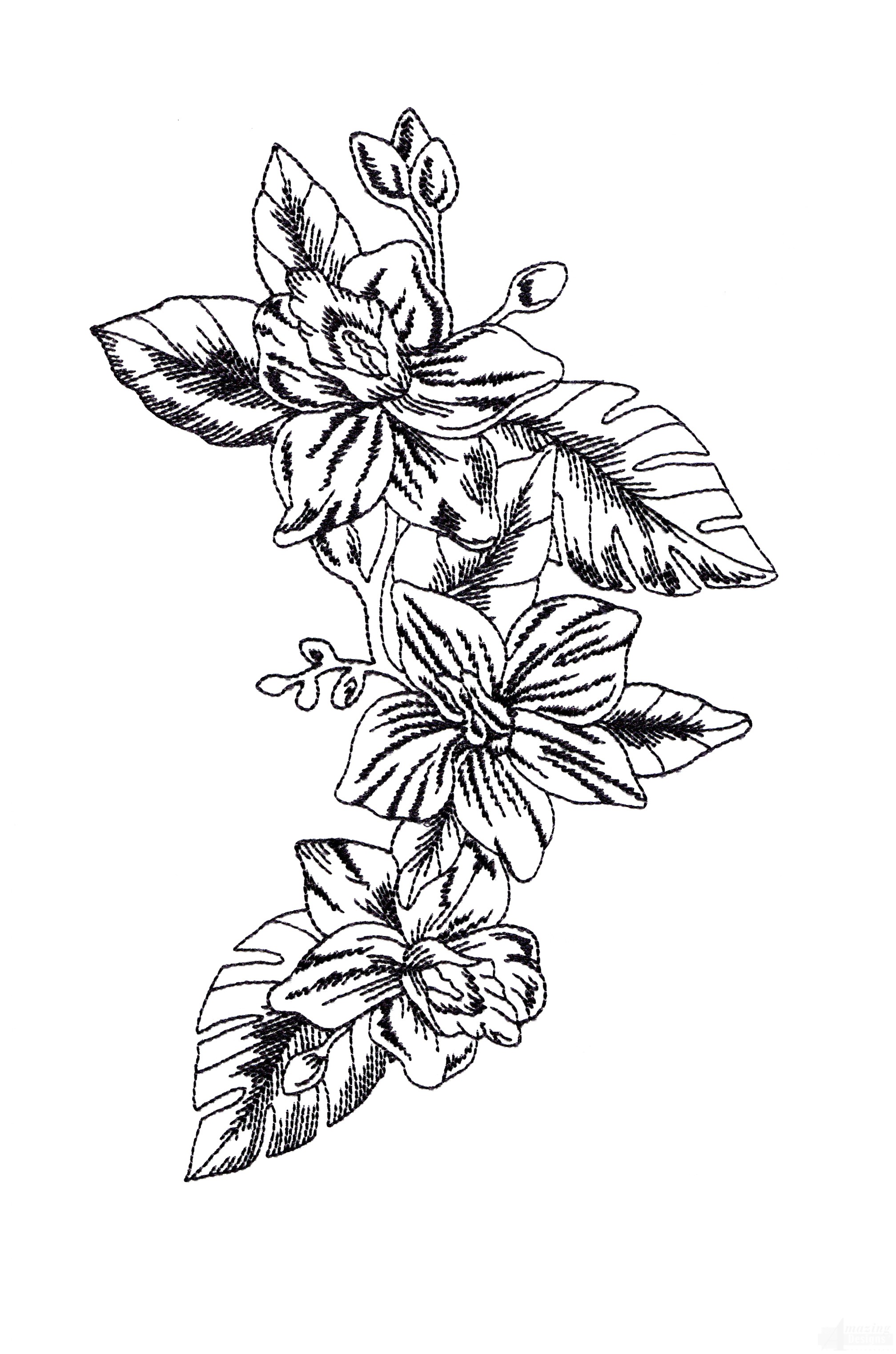 2015x3045 Bot432 Tropical Floral Sketch Embroidery Design - Floral Sketch