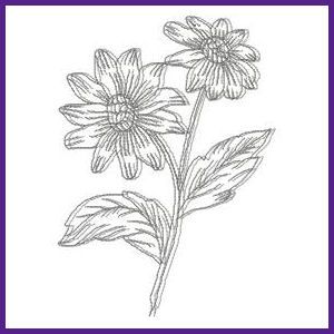 300x300 Floral Sketches - Floral Sketch Designs