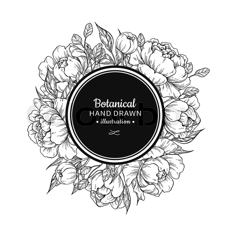 800x800 Flower Vintage Vector Frame Drawing. Peony, Rose, Leaves And Berry - Floral Wreath Sketch