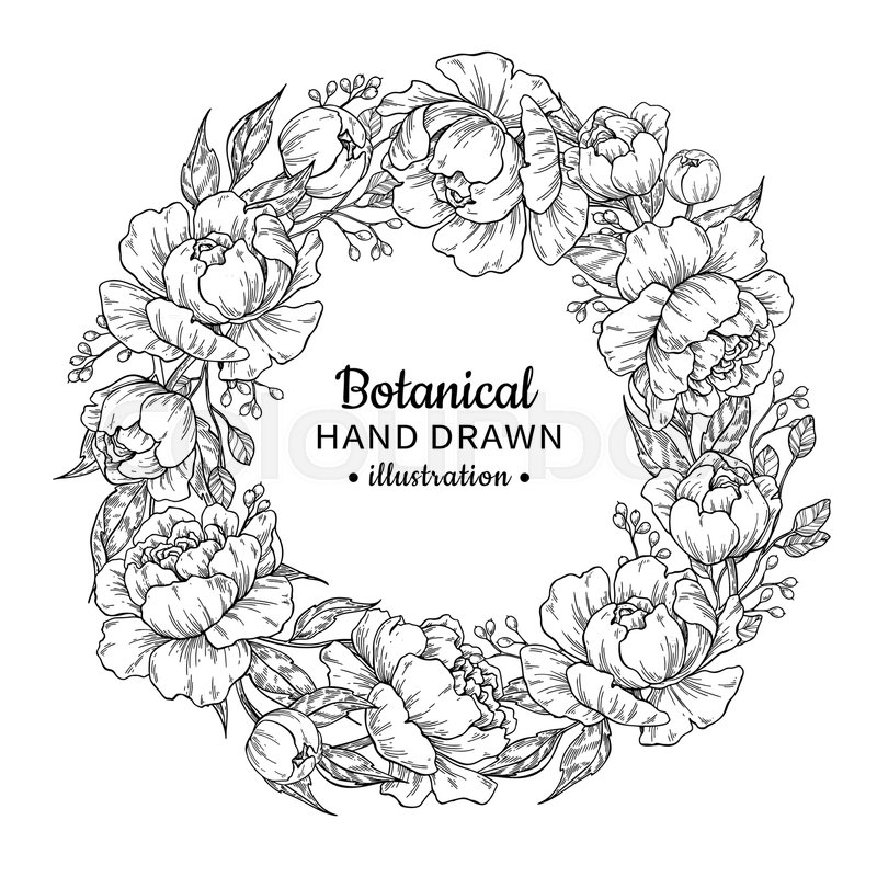 800x800 Flower Wreath. Vintage Vector Frame Drawing. Peony, Rose, Leaves - Floral Wreath Sketch