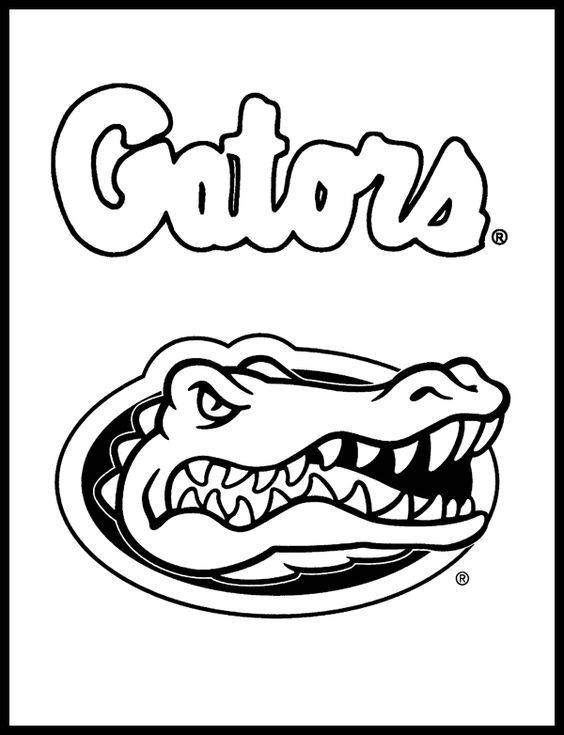 564x735 Florida Gators Coloring - Florida Sketch