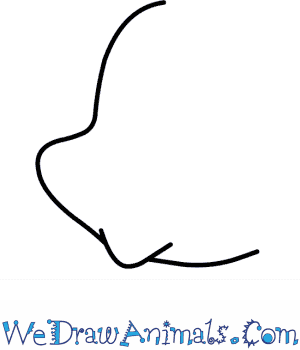 300x350 How To Draw Flounder From The Little Mermaid - Flounder Sketch