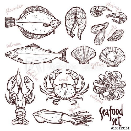 500x500 Sketch Seafood Collection, Hand Drawn Illustration With Lobster - Flounder Sketch