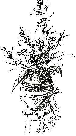 251x450 Deliver Flowers Buy Wild Flower Seeds Flower Arrangement - Flower Arrangement Sketch