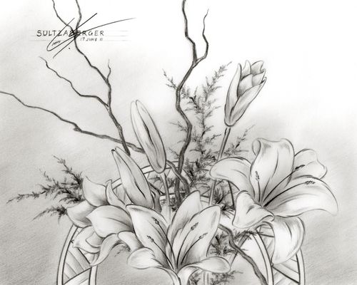 500x400 Flower Sketch - Flower Art Sketch
