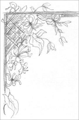 270x408 Flowers Sketches - Flower Art Sketch