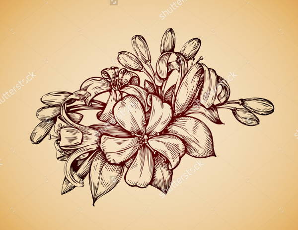 600x462 Vintage Sketches, Art Ideas Free Amp Premium Templates - Flower Art Sketch