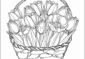 300x210 Flower Bouquet Drawing Awesome Vector Hand Drawing Kitty And - Flower Basket Sketch