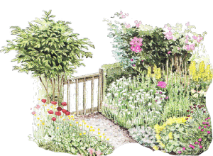 300x220 Privacy Amp Security - Flower Bed Sketch