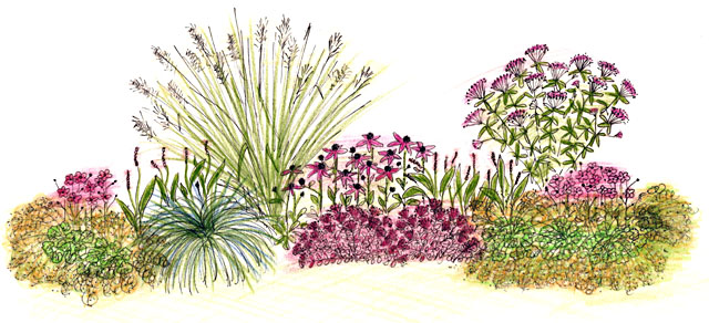 640x292 Lauki - Flower Bed Sketch