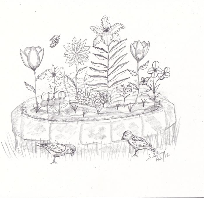 700x680 Sketch Fest! - Flower Bed Sketch