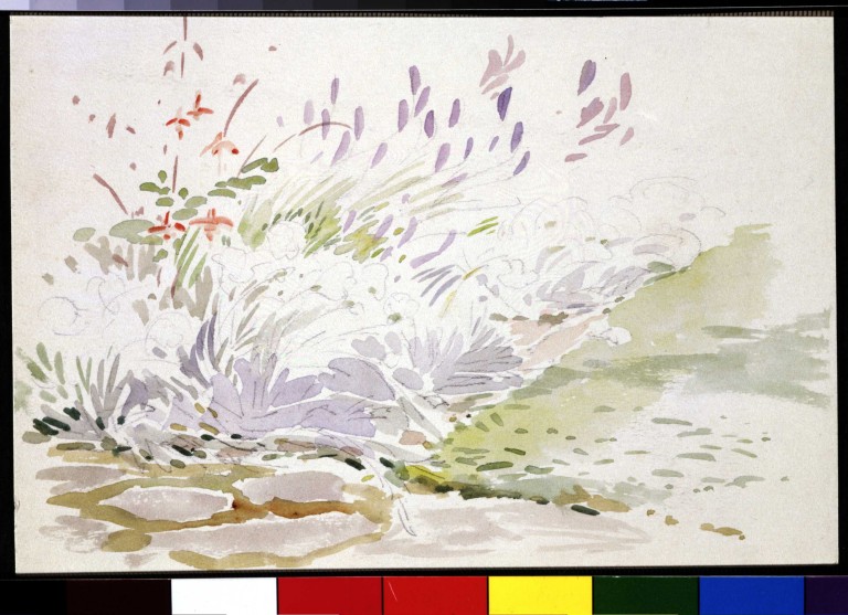 768x557 Sketch Of A Flower Bed In The Garden - Flower Bed Sketch