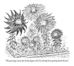 300x270 The Growing Season Has Barely Begun Drawing By Edward Koren - Flower Bed Sketch