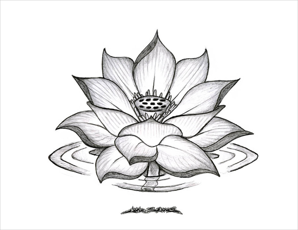 Flower Black And White Sketch