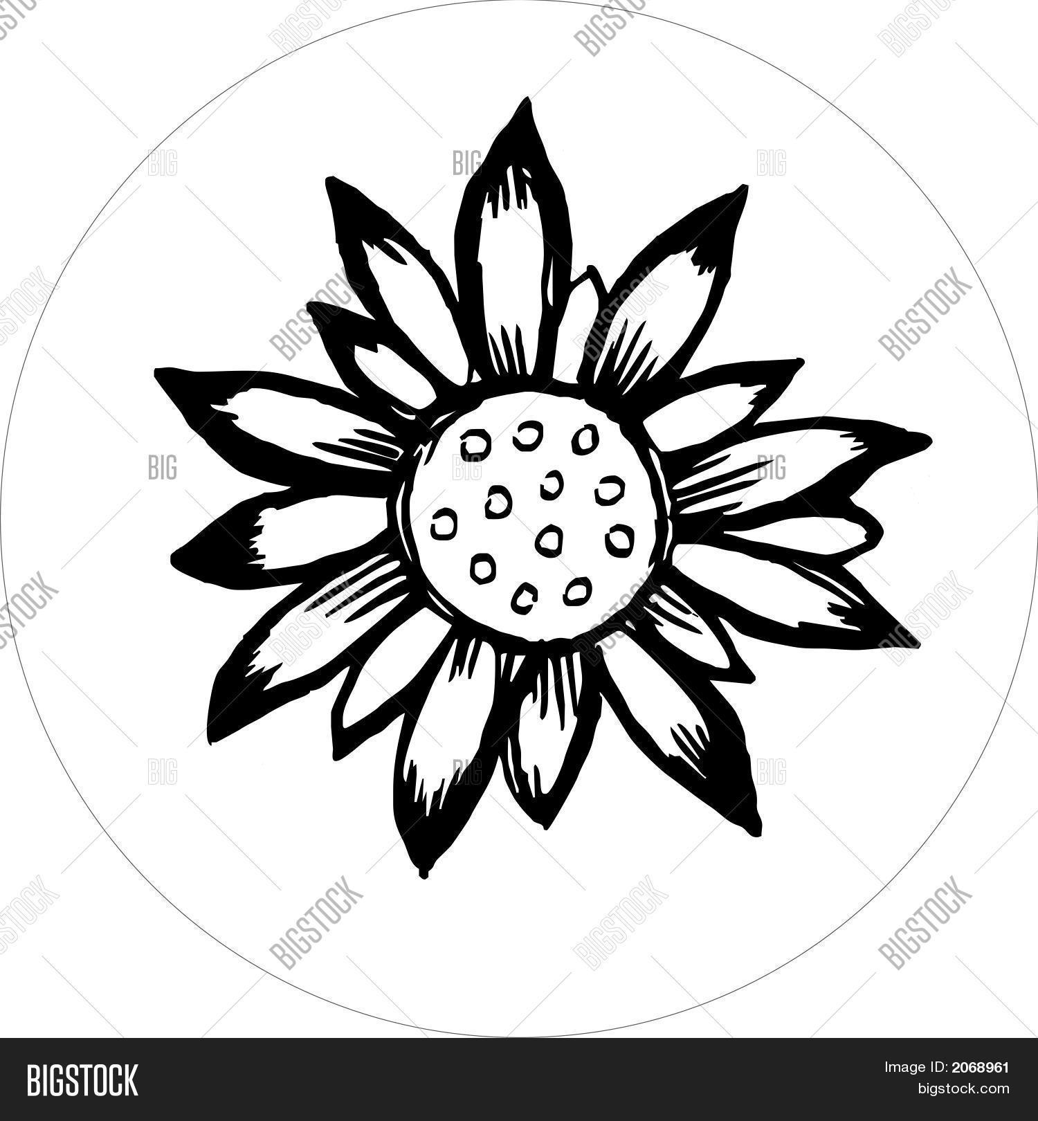 1500x1620 Black And White Pictures Of Flowers To Draw Gallery Images) - Flower Black And White Sketch