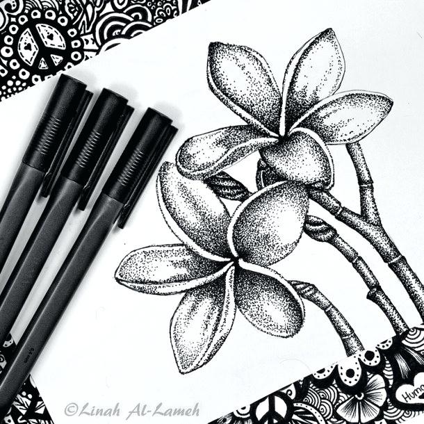 610x610 Flower Black And White Pages N Wallpaper Dirosa - Flower Black And White Sketch