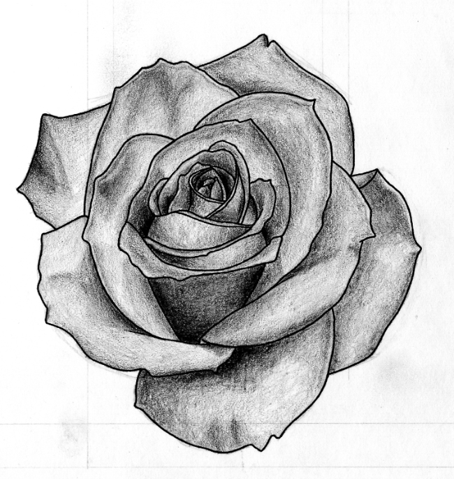 650x685 Collection Of Black And White Drawing Of A Rose High Quality - Flower Black And White Sketch