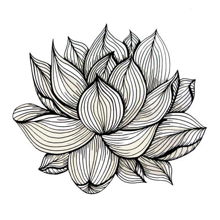 700x700 Lotus Flower, Black And White, Nature, Organic Design, Drawing - Flower Black And White Sketch