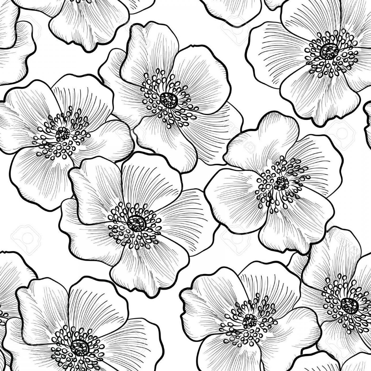 1560x1560 Photostock Vector Floral Seamless Pattern Flower Background - Flower Black And White Sketch