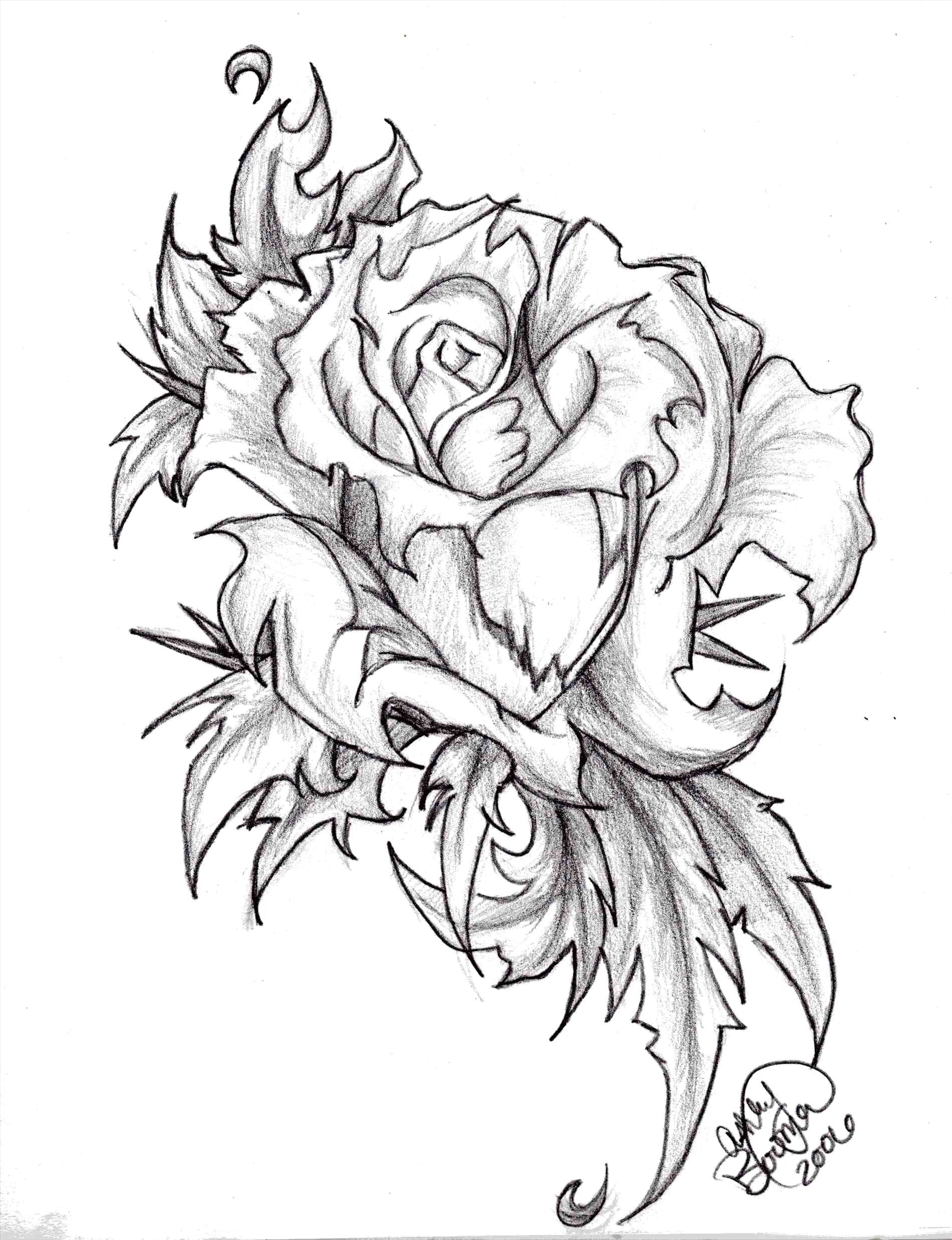 1900x2475 Rose Flower Black And White Drawing Gallery Easy Rose Drawings In - Flower Black And White Sketch
