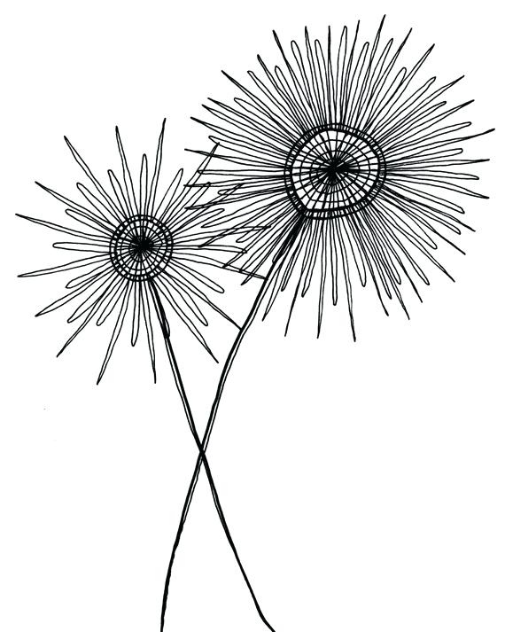 570x713 Simple Flower Drawings Simple Flower Drawings In Black And White - Flower Black And White Sketch