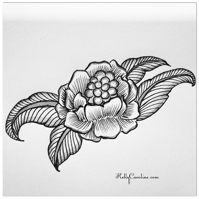 640x640 A New Black And White Flower Drawing Drawing - Flower Black And White Sketch