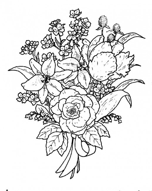 518x652 Flower Arrangement Line Drawing Beautiful Wild Rose Flowers - Flower Bouquet Sketch