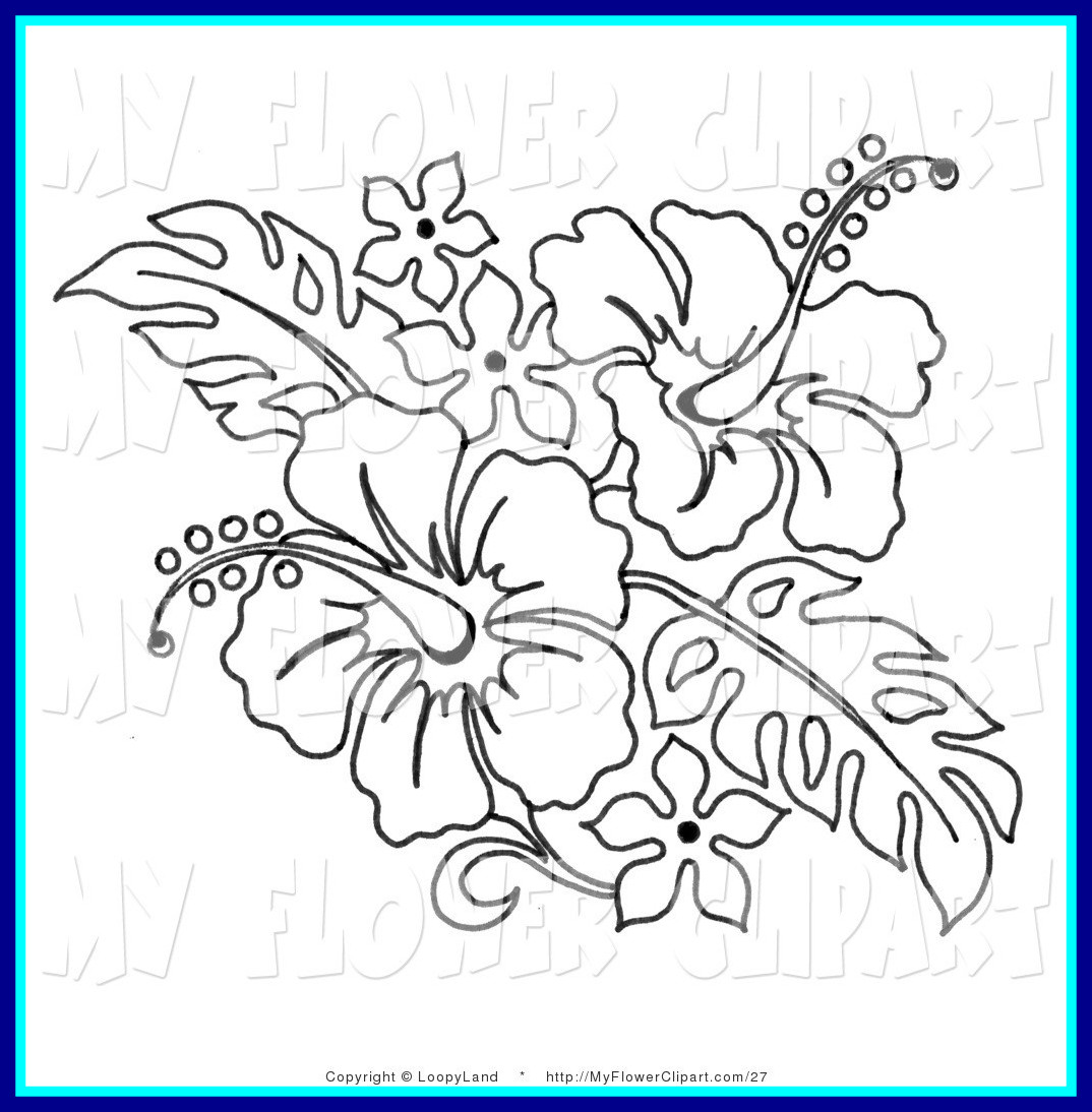 1074x1094 Stunning Bouquet Drawing At Getdrawings For Personal Use Picture - Flower Bouquet Sketch