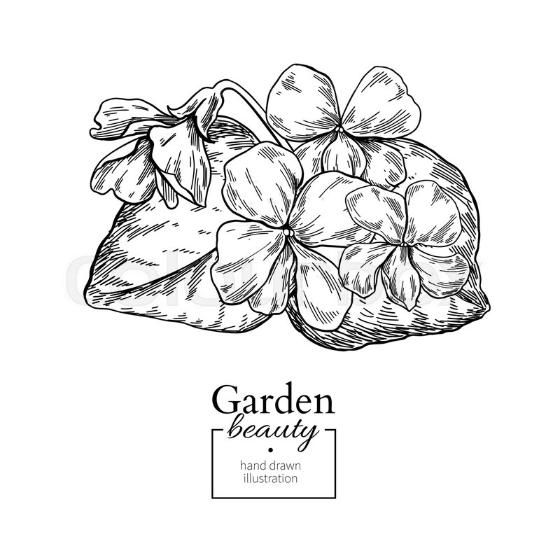 800x800 Violet Flower Bouquet Drawing. Vector Hand Drawn Engraved Floral - Flower Bouquet Sketch