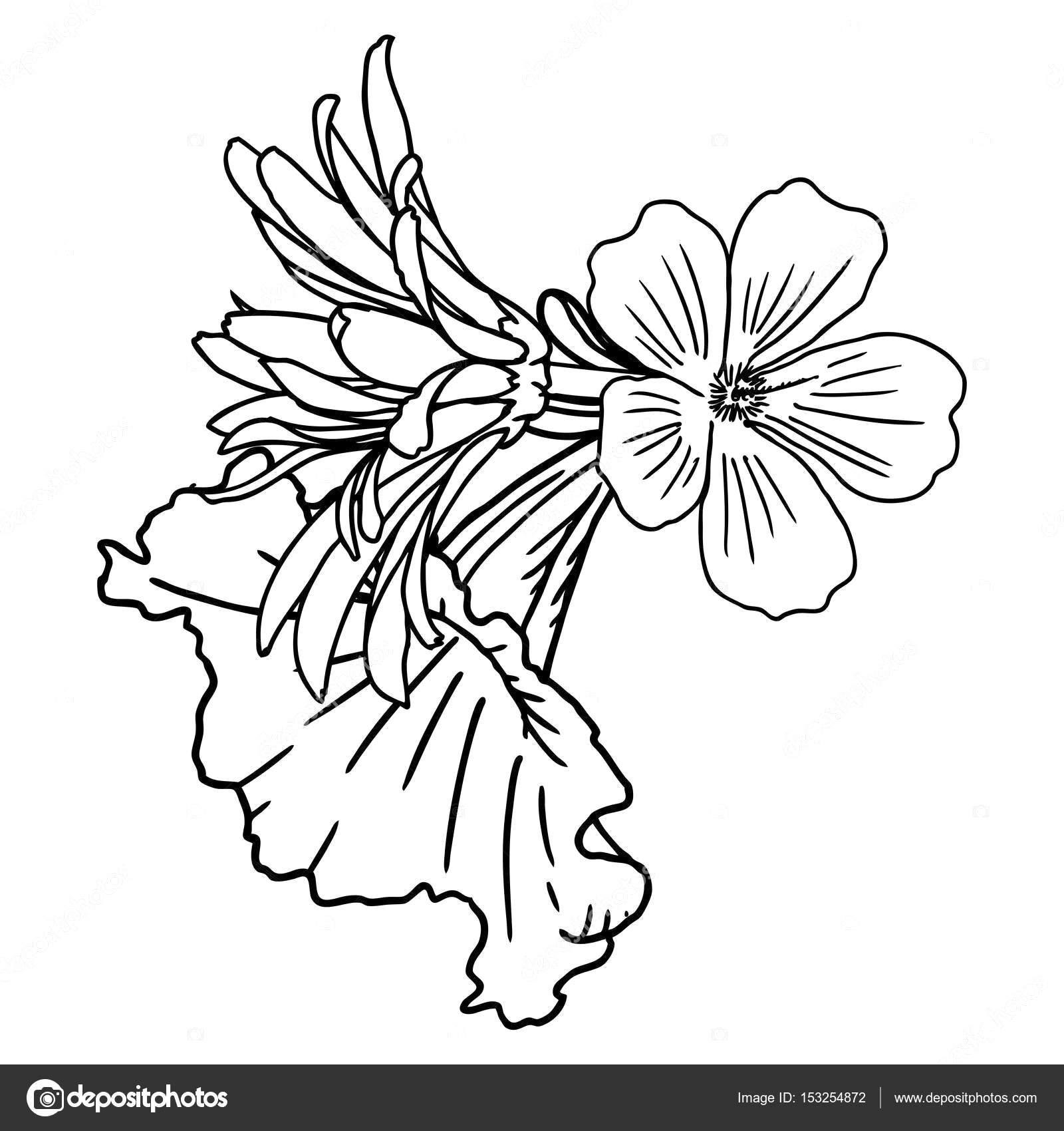 1600x1700 Depositphotos 153254872 Stock Photo Vintage Flower Bouquet Sketch - Flower Bouquet Sketch