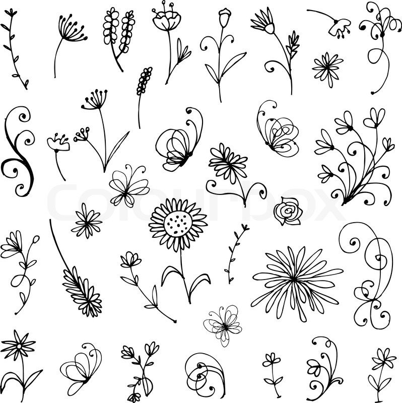 798x800 Sketch Of Floral Elements For Your Design Stock Vector Colourbox - Flower Design Sketch
