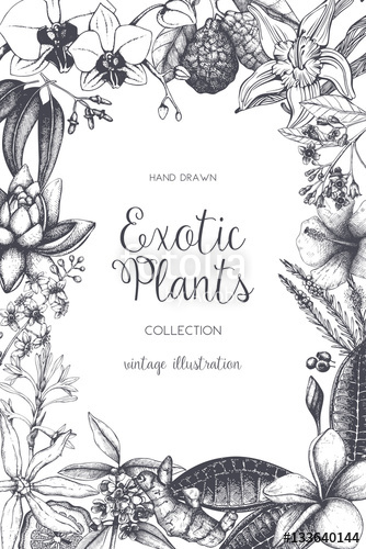 334x500 Exotic Plants Background. Vector Tropical Flowers Design. Hand - Flower Frame Sketch