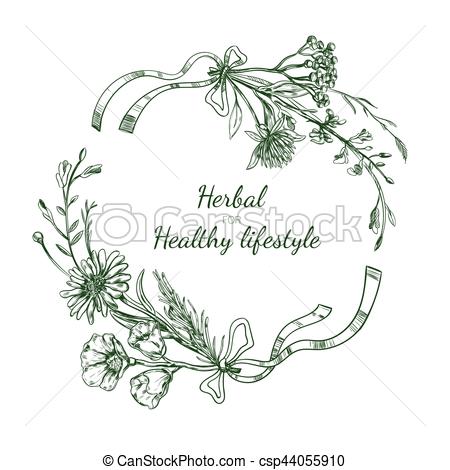 450x470 Herbal Sketch Round Frame. Herbal Sketch Round Frame With Flowers - Flower Frame Sketch